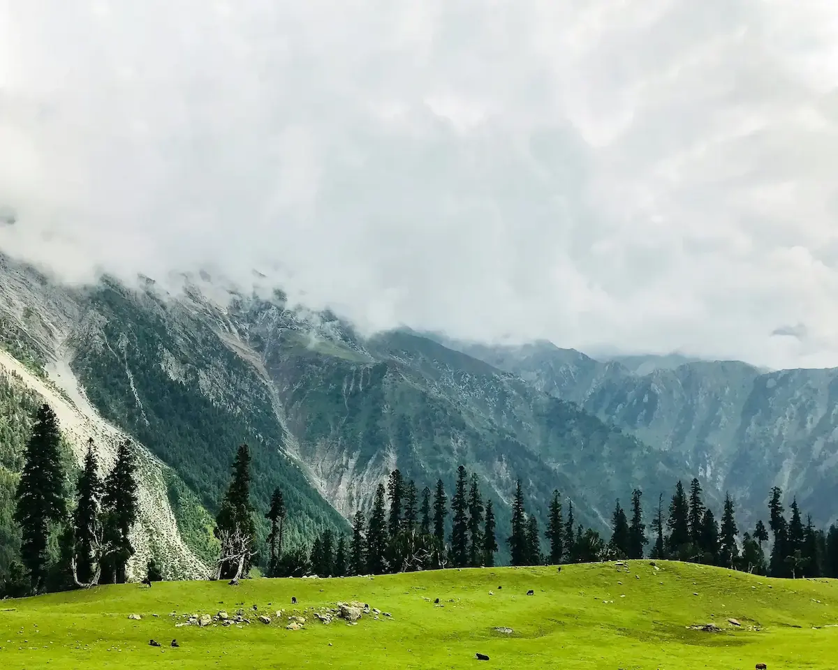 Doodhpathri green Meadows and scenic views